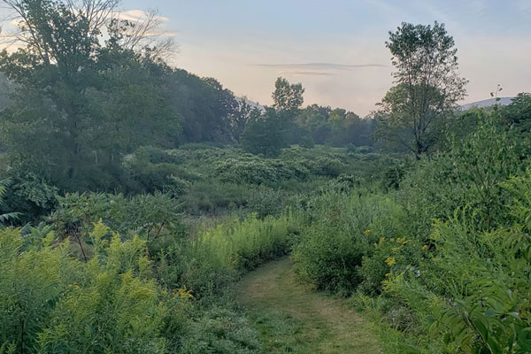 Explore Green Grass Trail | AlbergoAllegriaHotel | Windham New York